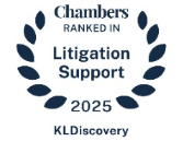 チェンバーズ・アンド・パートナーズ訴訟サポートガイド