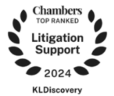 チェンバーズ・アンド・パートナーズ訴訟サポートガイド